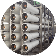 龙8官网登录入口