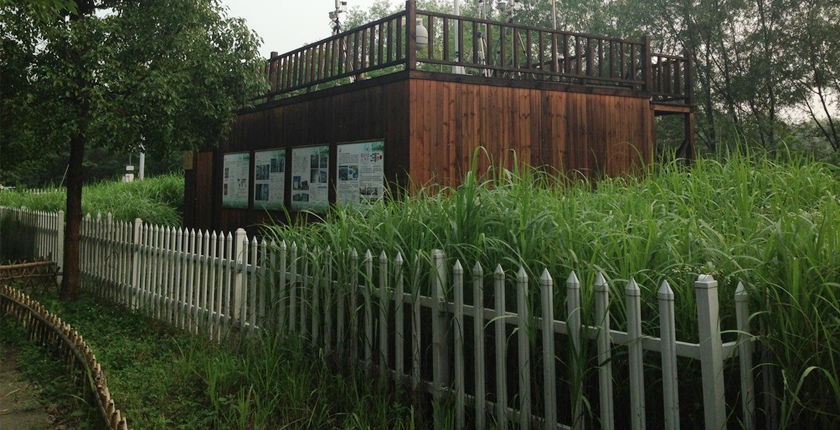 龙8官网登录入口