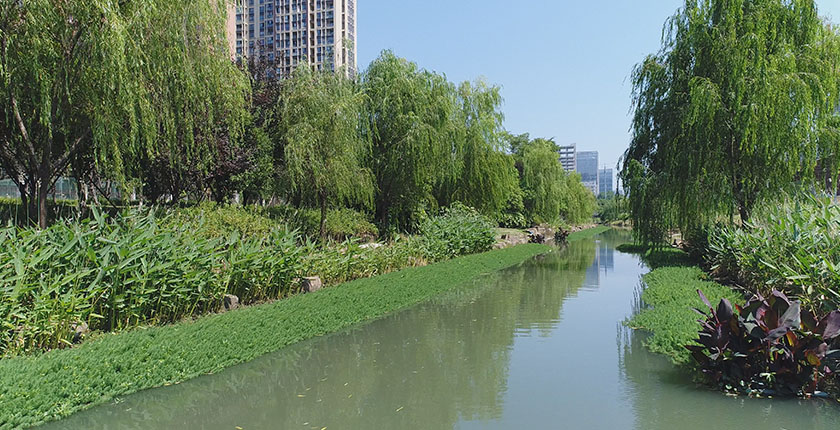 龙8官网登录入口