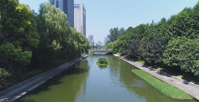 龙8官网登录入口