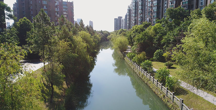 龙8官网登录入口