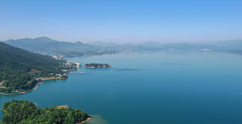 龙8官网登录入口