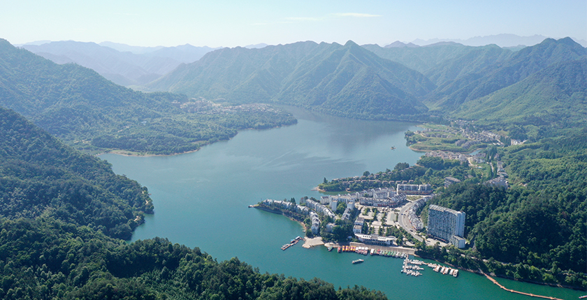 龙8官网登录入口