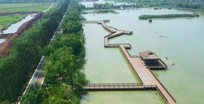 龙8官网登录入口