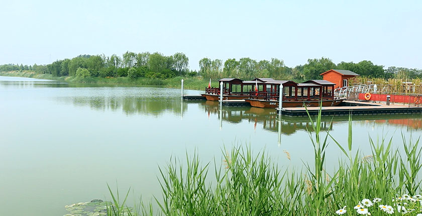 龙8官网登录入口